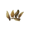 Oreilles de buffle (lot de 5)
