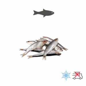 Viandes, os & abats pour BARF : Sprats entiers et crus, sachet de 2 kg