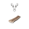 Bois de cerf coupé en deux