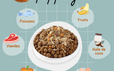 Le topping ou comment améliorer le repas