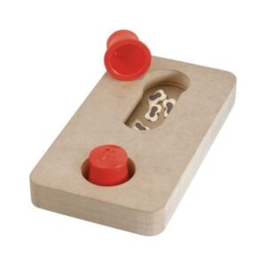 Jeu d’intelligence Wooden Brain Train connectable Gauss