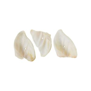 Oreille de porc soufflée