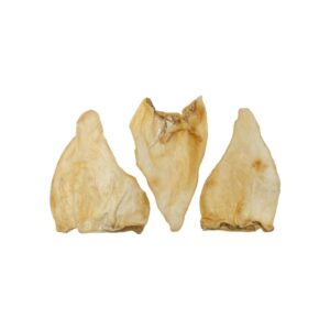 Oreilles de buffle (lot de 5)
