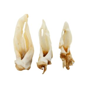 Oreilles de mouton séchées (sachet de 200 g)
