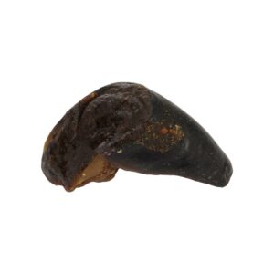 Sabot de buffle fourré à la panse
