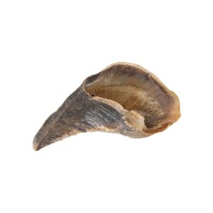 Sabot de vache