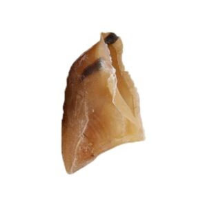 Sabot de veau